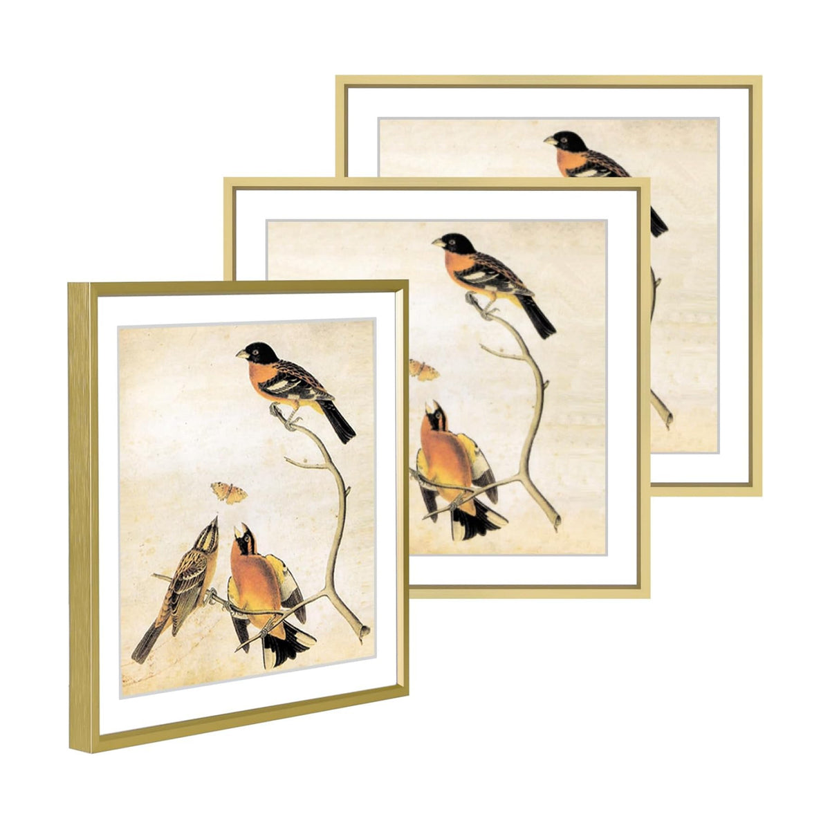 BKABOT 12x12 Blass Picture Frame Fits 10x10 with Mat HD Glass 3 Pack | Thin brushed aluminum Photo frames, removable