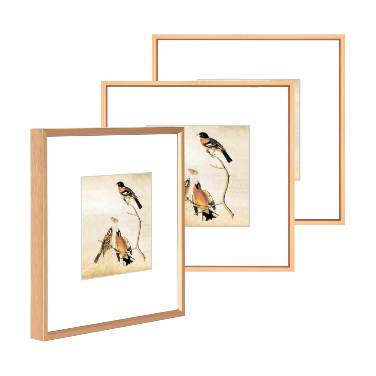 BKABOT 10x10 Gold Aluminum Picture Frame Fits 6x6 with Mat HD Glass 3 Pack | Thin brushed aluminum picture frames