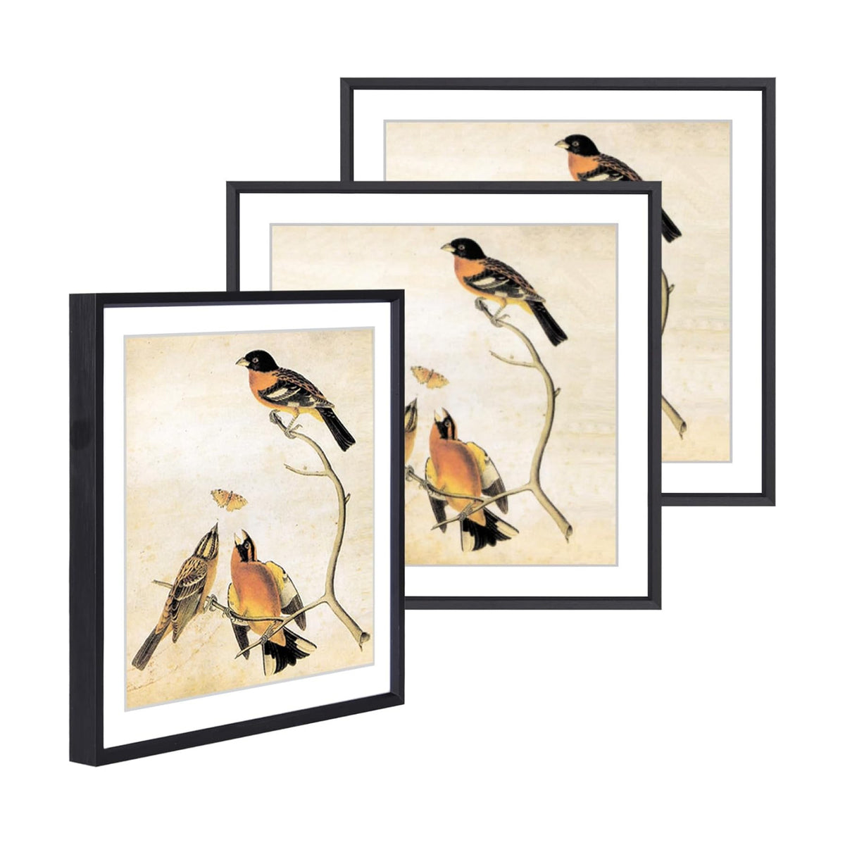 BKABOT 12x12 Black Picture Frame Fits 10x10 with Mat HD Glass 3 Pack | Thin brushed aluminum Photo frames, removable