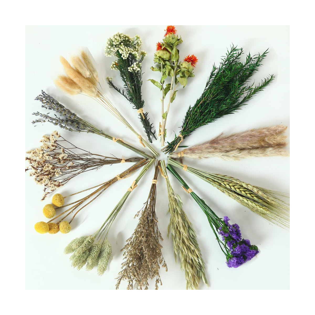 13 Kinds Mini Dried Flower Bouquet, 5-8" Boho Brown for Crafts, Vase Filler