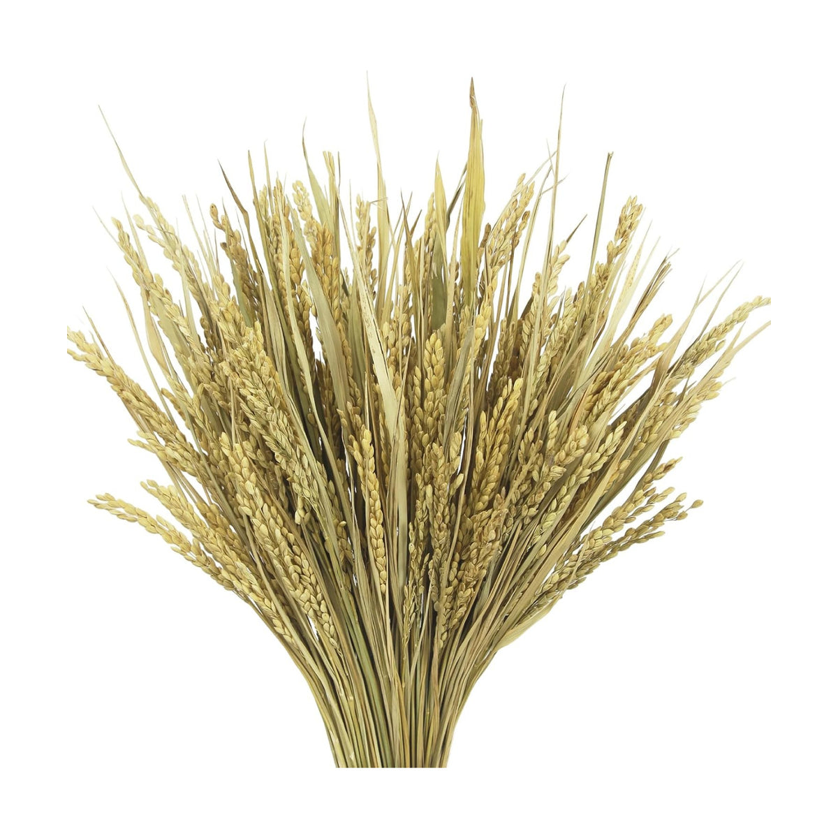 CISDUEO 100pcs Dried Flowers Wheat Stalks 17 Inch Natural Wheat Sheaves Bundle with Leaves Boho Farmhouse Dried Grass Flowers DIY Arrangement for Home Kitchen Wedding Table Centerpiece Party Decor