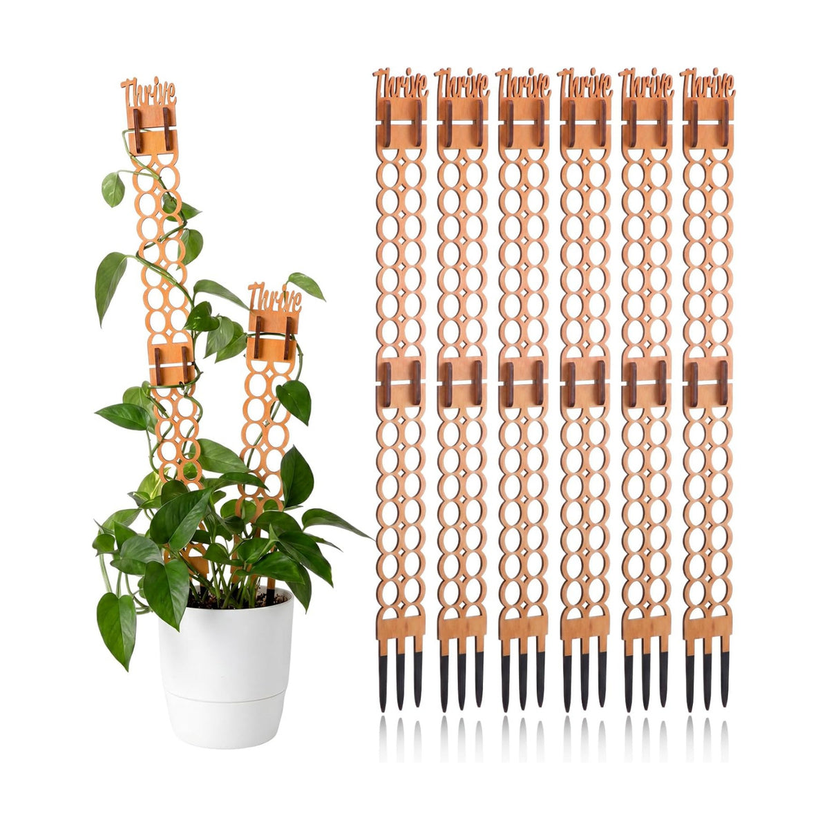 6 Sets Wooden Extendable Plants Trellis Indoor Modular Plant Trellis with Wood Thrive Sign Decor and Extensions for