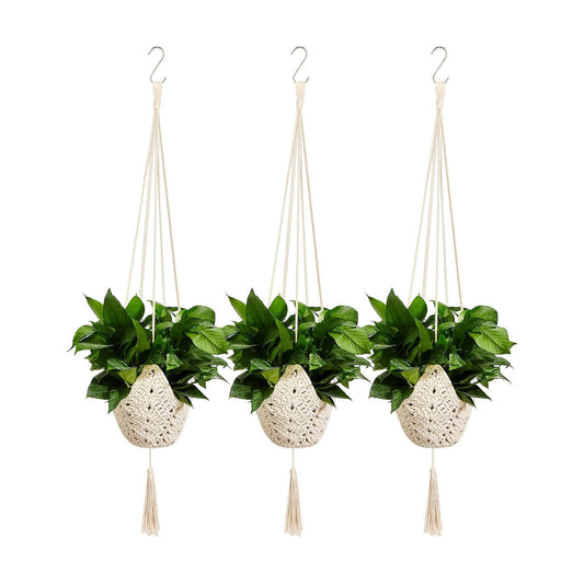 Boho Macrame Plant Hanger / Cream / Classic / Set of 3