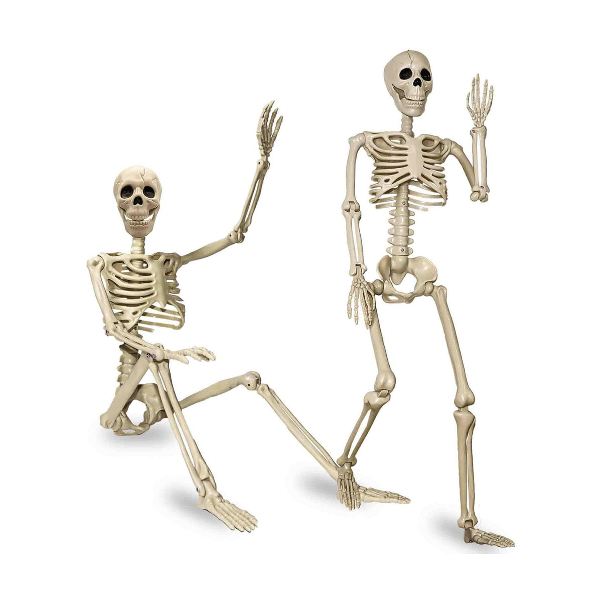2 Pack 24"Halloween Skeleton - 2 ft Life Size Human Skeleton with Full Body Posable Joints Plastic Skeleton for Halloween Skeletons Decor Yard Patio Lawn Garden Skeleton Props Spooky Party Decoration