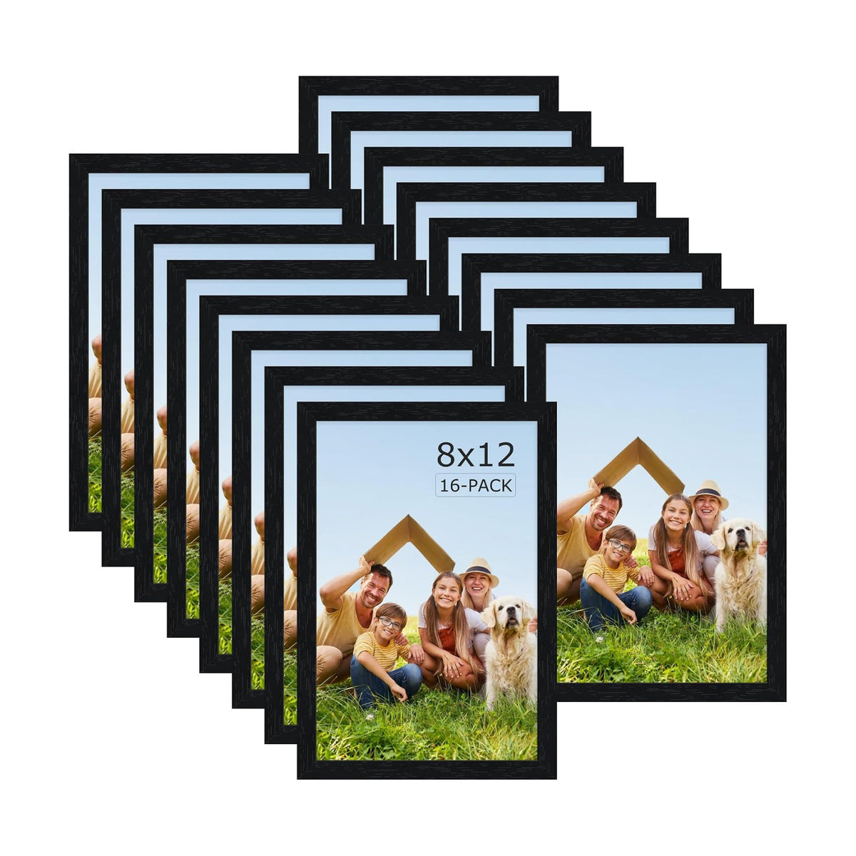 Wiscet 8x12 Picture Frame Set of 16, Black Woodgrain | Photo Frame with HD Plexiglass, for Wall or Tabletop Display