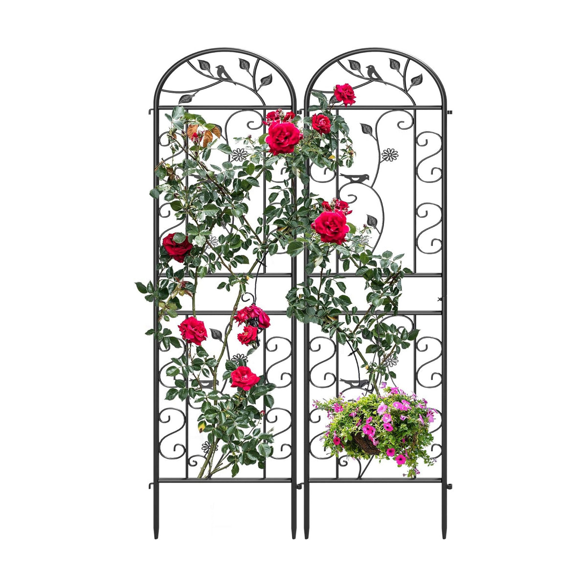 2-Pack 87" x 20" Daisy & Bird Arch Black Metal Garden Trellises | Set of 2 rust-resistant metal trellises with bird