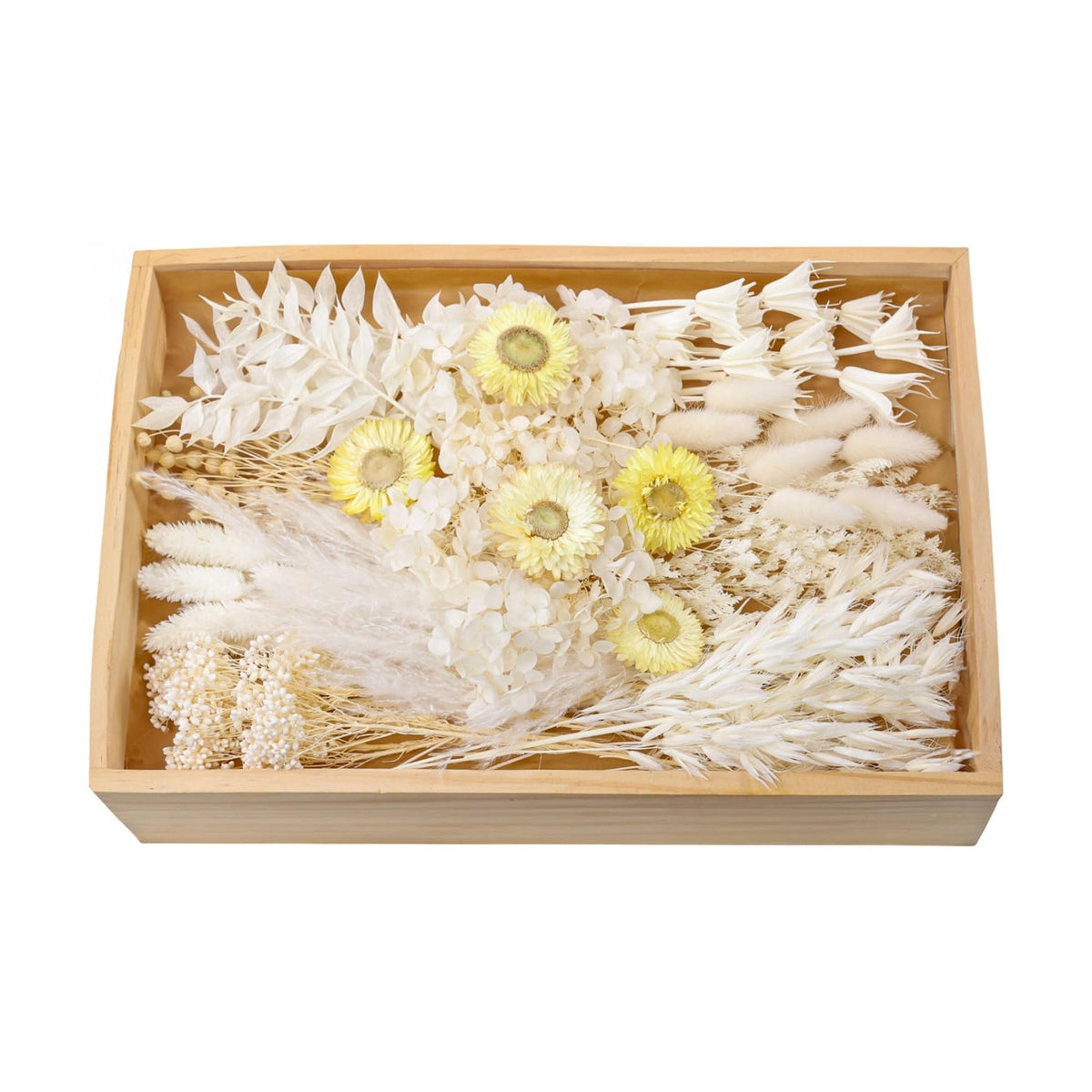 Dried Flower MEGA Box, Craft Pack, Mini Preserved Flower, Dry Flowers Epoxy Resin, Jewelry Craft, DIY Material, Candle Making (White)