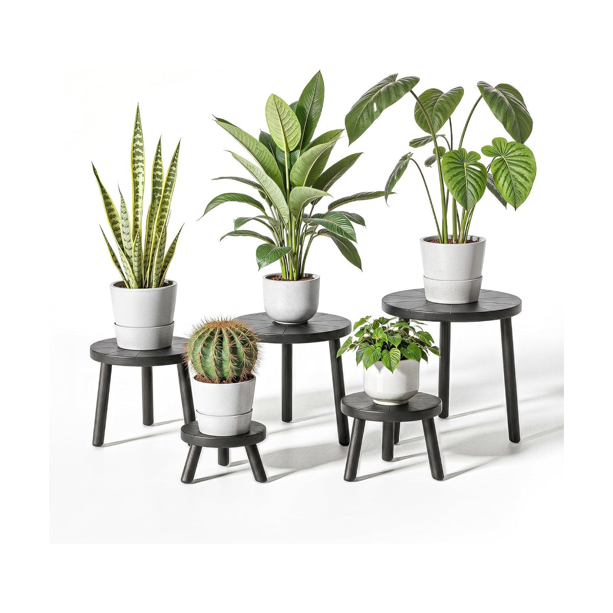 Wood Plant Stands 5-Pack Indoor, Plant Stool, Black | Premium carbonized pine with moisture-resistant, burr-free