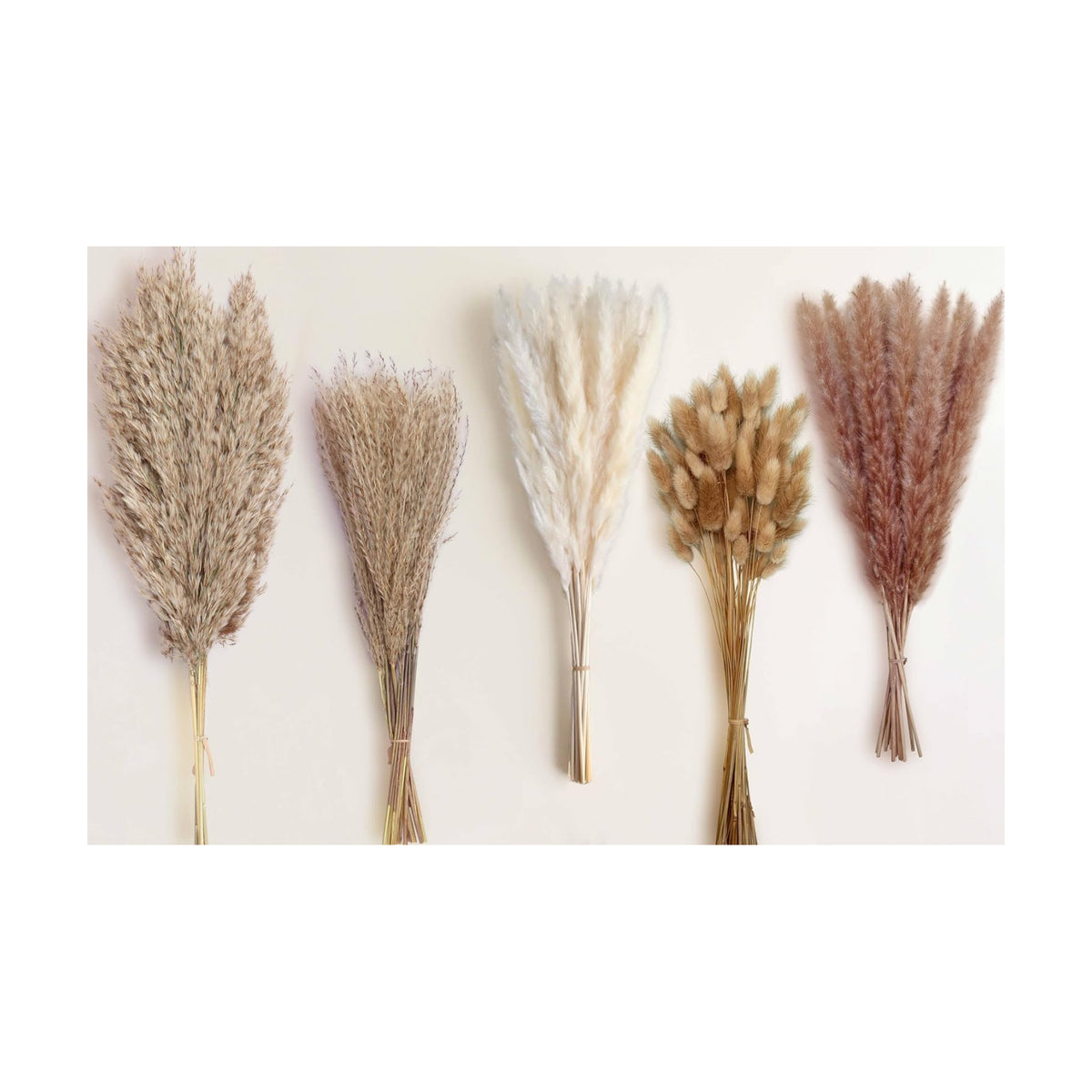 115 Stems Dried Pampas Grass, Natural Boho Table Decor Length 17"