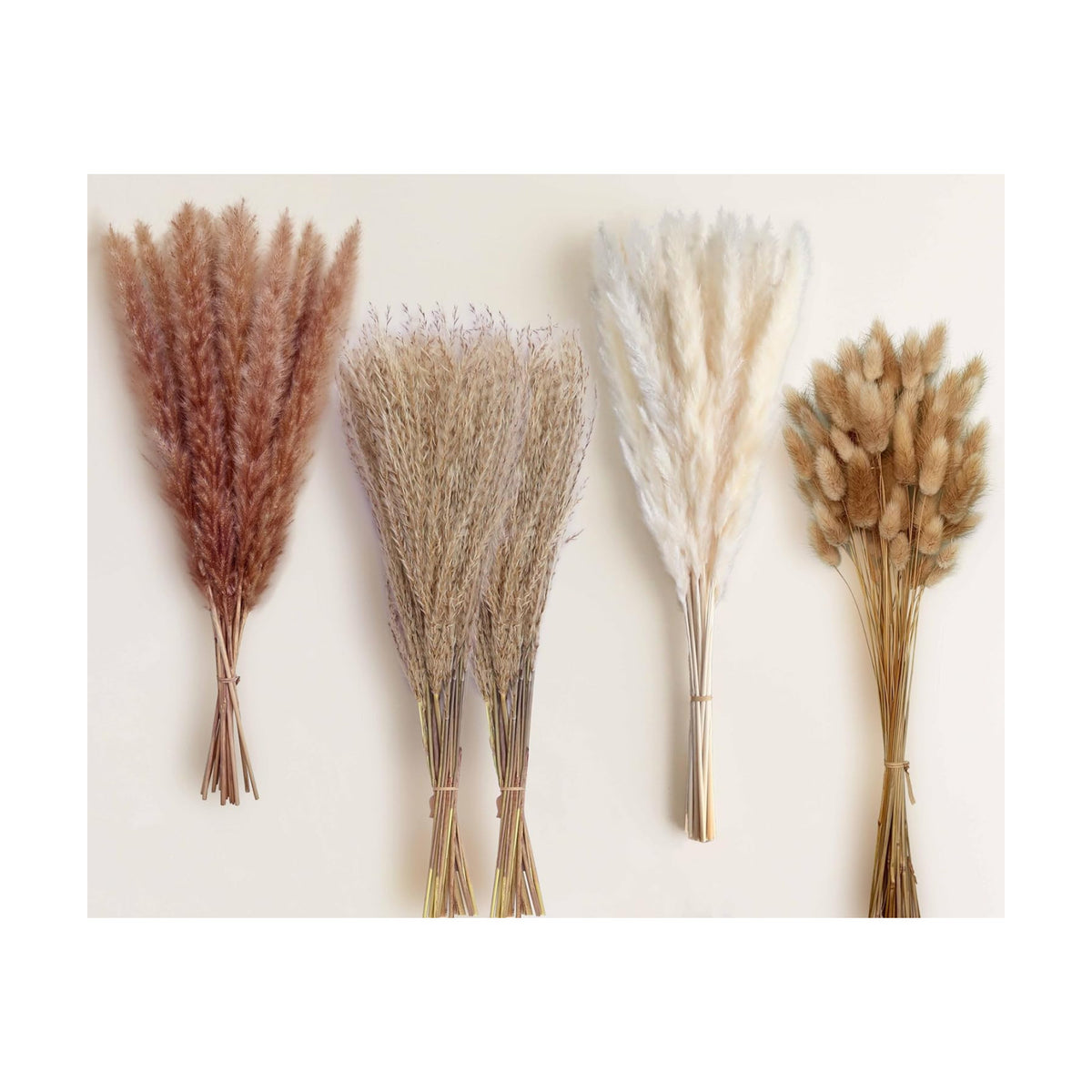130 Stems 17" Dried Pampas Grass, Boho Table Decor Natural Reed Phragmites Grass + Brown & White Pampas Grass + Bunny Tails Flowers Bouquet for Wedding Floral Arrangements Farmhouse Home Rustic Wall