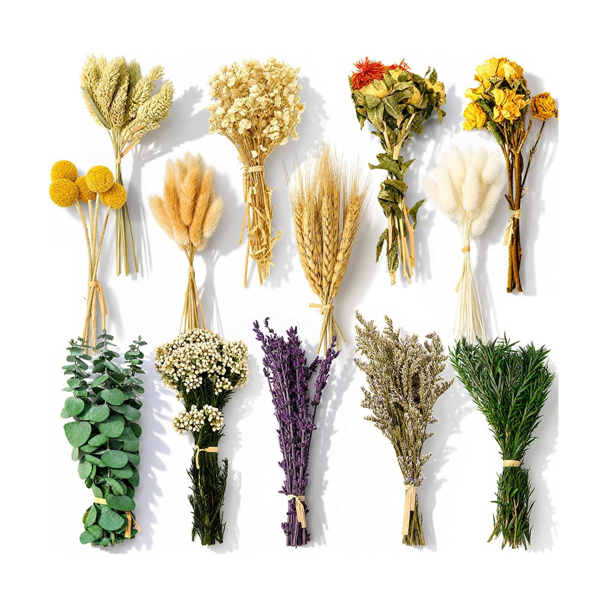 150Pcs DIY Natural Dried Flower Set, Preserved Mini Flowers Bouquets