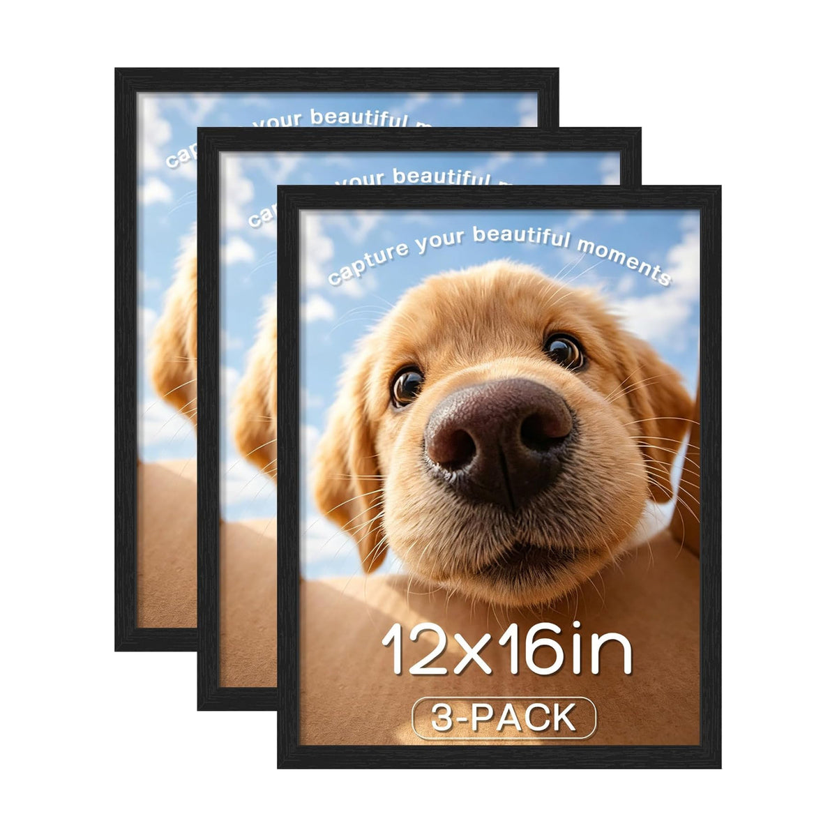 12x16 Picture Frame 3 Pack, Wall Mount Display, Black Wood Grain | Fits 12x16 Photos or Posters, Clear Shatterproof
