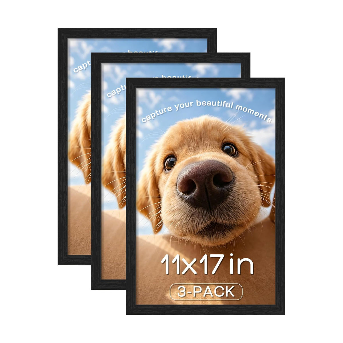 11x17 Picture Frame 3 Pack, Wall Mount Display, Black Wood Grain | Fits 11x17 Photos or Posters, Clear Shatterproof