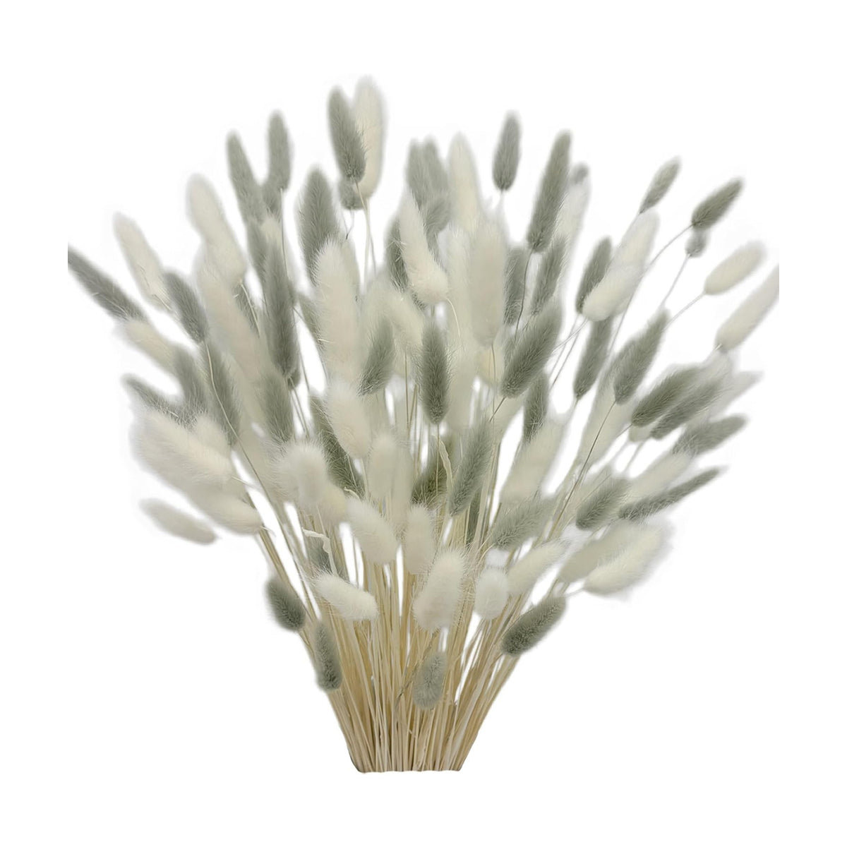 120pcs Dried Bunny Tails Flowers White and Grey Pampas Grass Natural Dried Floral Arrangement Dry Flowers for Christmas Halloween Boho Decor Home Wedding DIY Craft Decoration (16")
