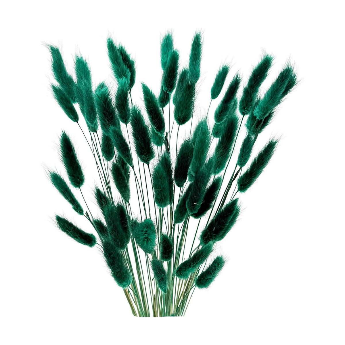 60pcs Dried Bunny Tails Flowers Blue Pampas Grass Natural Dried Floral Arrangement Dry Flowers for Christmas Halloween Boho Decor Home Wedding DIY Craft Decoration (16")