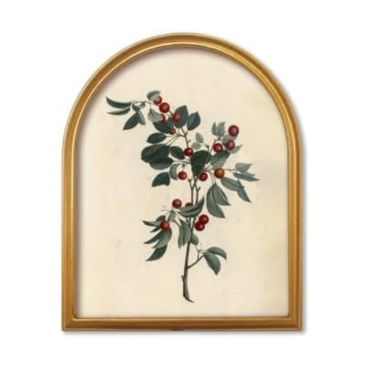 TwoDays Vintage Christmas Berries 11" x 13.8" Gold Arched Framed Wall Art
