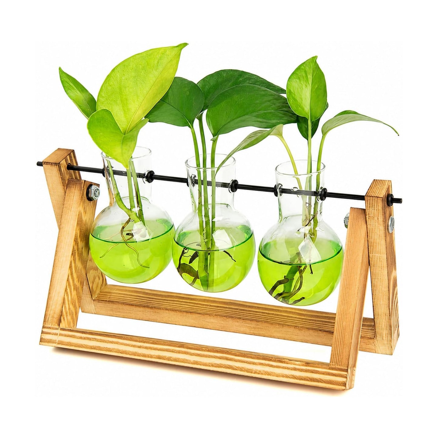 XXXFLOWER Plant Terrarium Kit with Wooden Stand 3 Gradient Green Bulb Vases