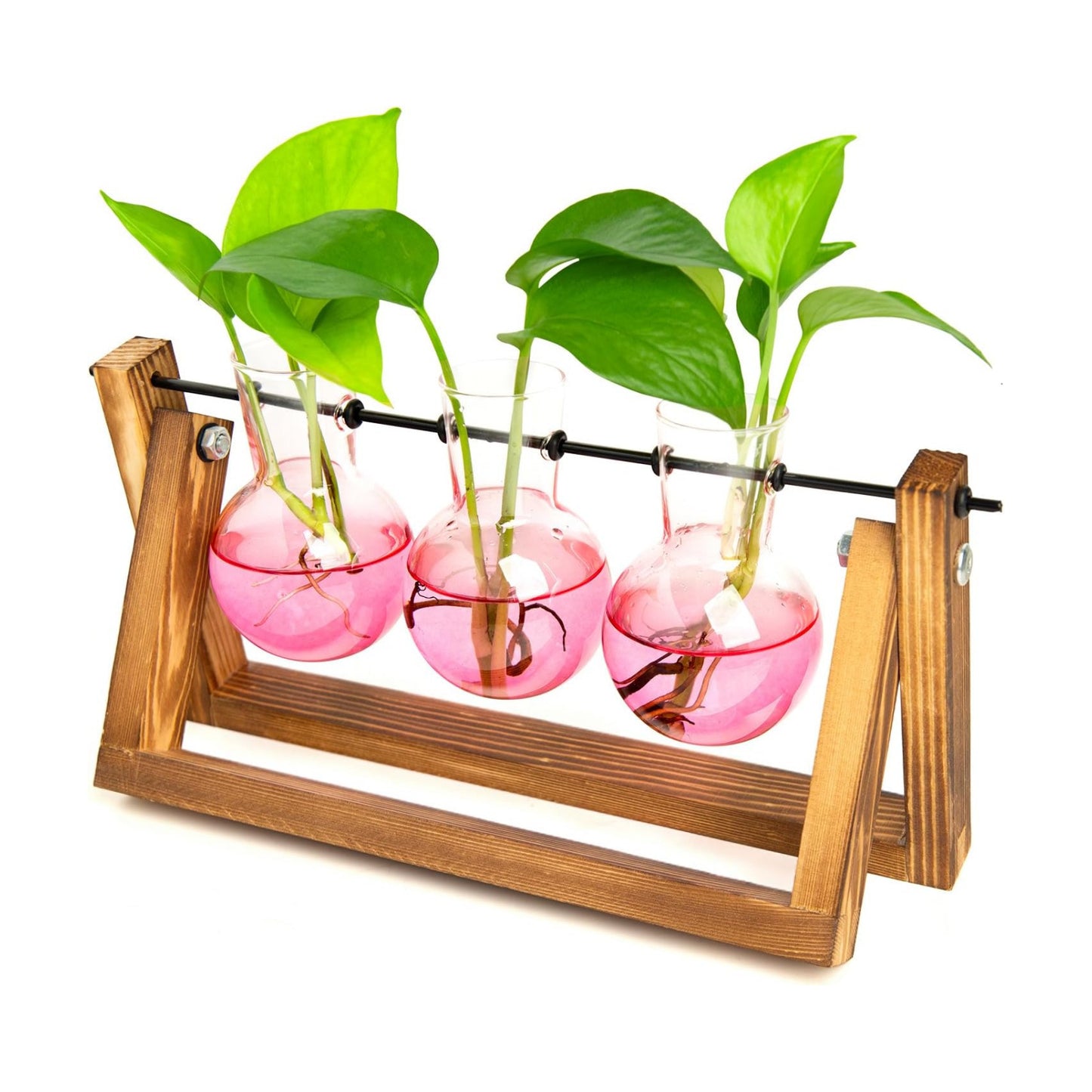 XXXFLOWER Plant Terrarium Kit with Wooden Stand 3 Gradient Pink Bulb Vases