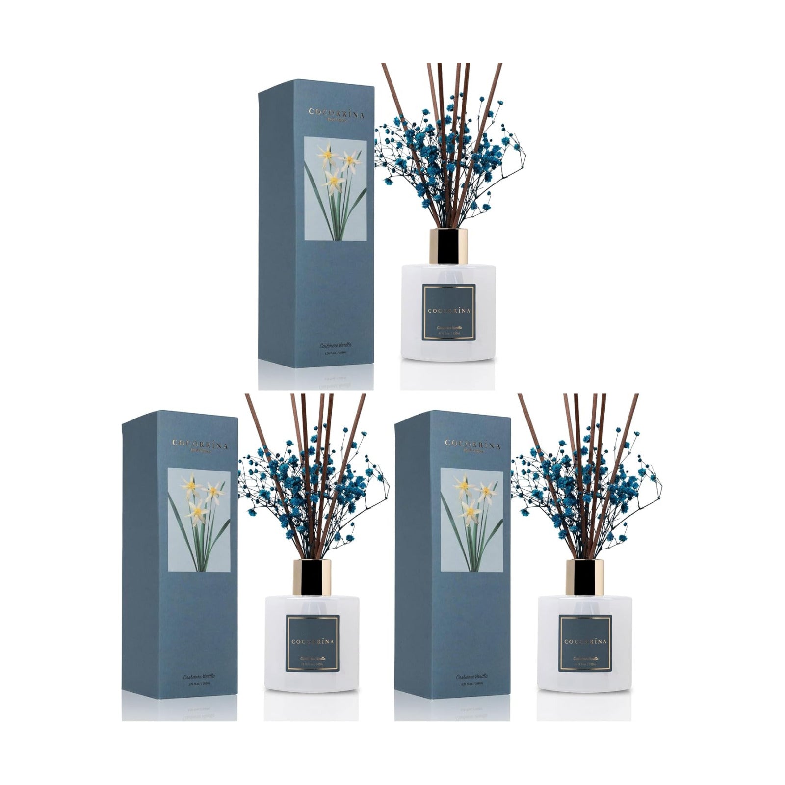 COCORRÍNA Reed Diffuser - Cashmere Vanilla 6.7 fl oz Reed Diffuser for Bedroom Bathroom Home Décor (Pack of 3)